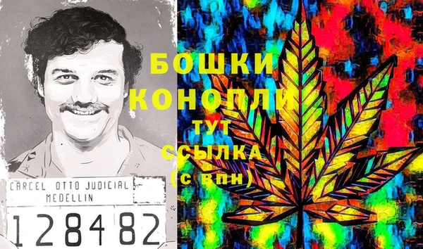 гашик Покачи