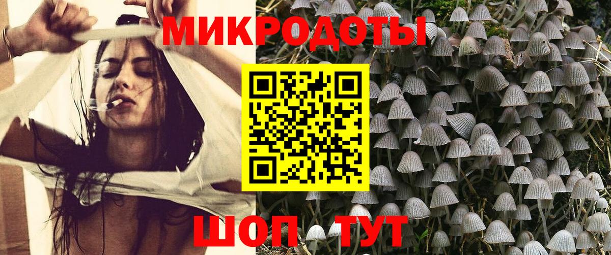 Галлюциногенные грибы Cubensis Ступино