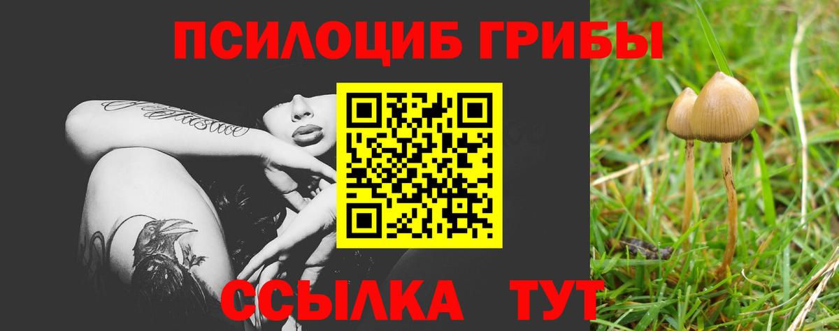 Псилоцибиновые грибы Magic Shrooms  Вход с VPN  Галлюциногенные грибы мухоморы  где купить наркоту  Ступино 